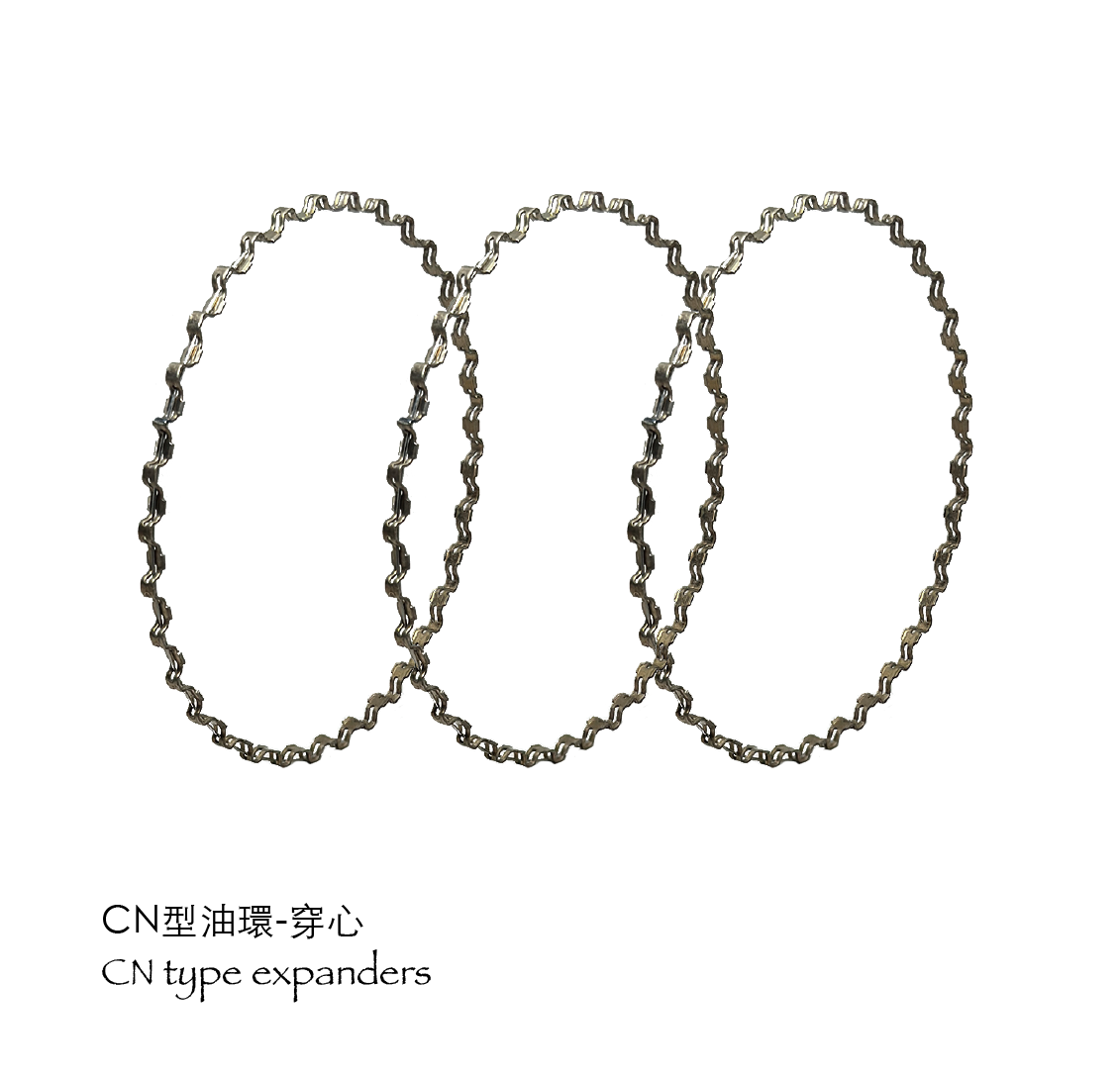 CN型油環-穿心