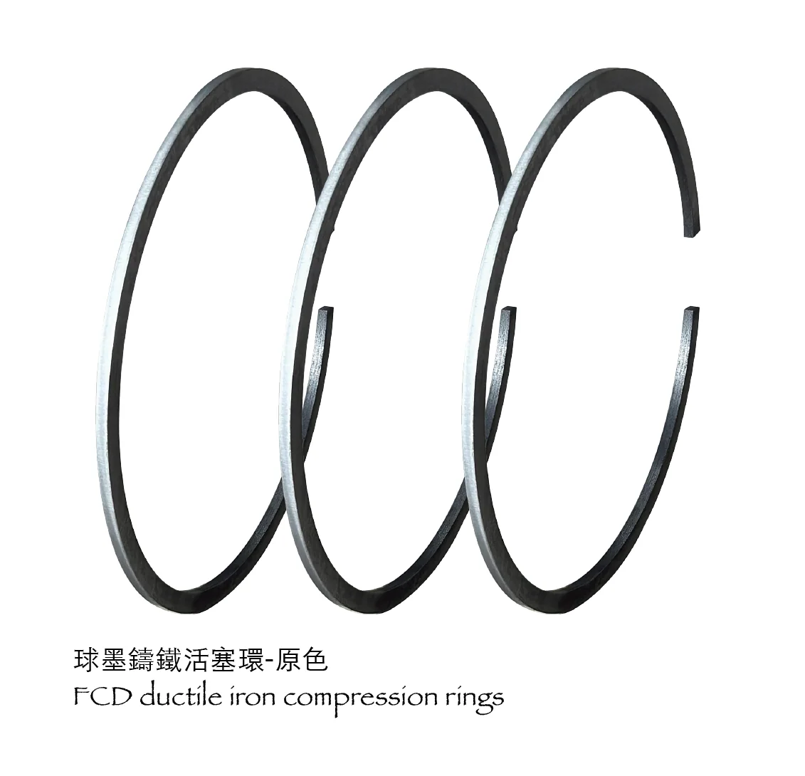 Anel de compressão dúctil FCD (SH) (2)